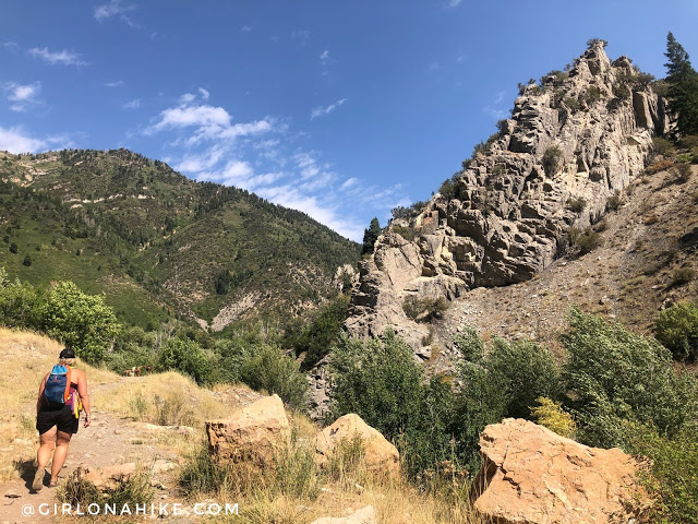 Hiking to Salt Creek Canyon Falls, Utah