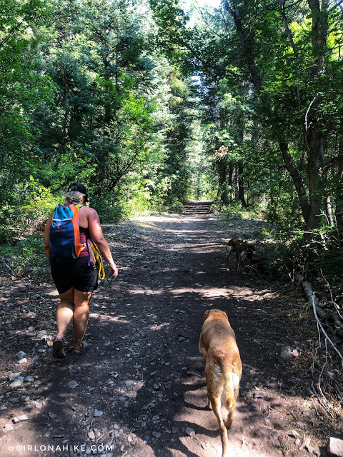 Hiking to Salt Creek Canyon Falls, Utah