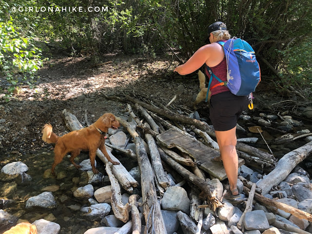 Hiking to Salt Creek Canyon Falls, Utah