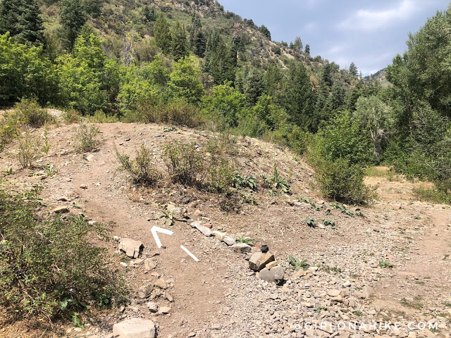 Hiking to Salt Creek Canyon Falls, Utah