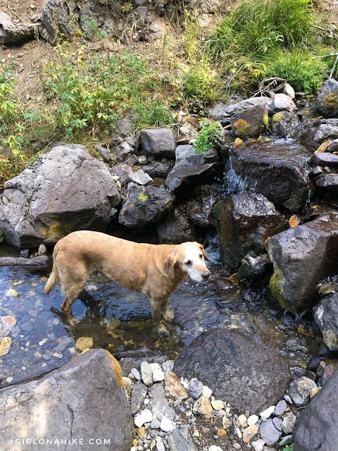 Hiking to Blue Lake, Tushar Mountains