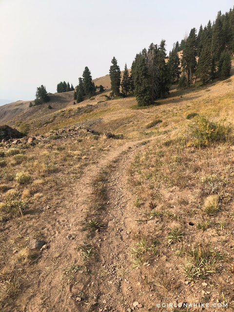 Hiking to Shelly Baldy Peak, Tushar Mountains