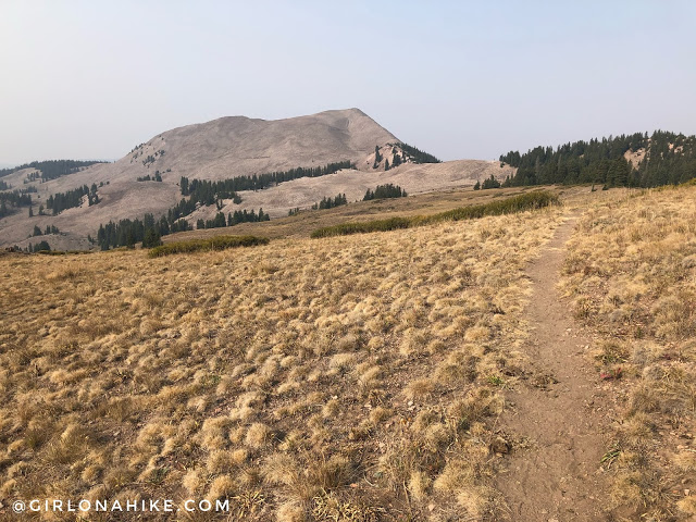 Hiking to Shelly Baldy Peak, Tushar Mountains