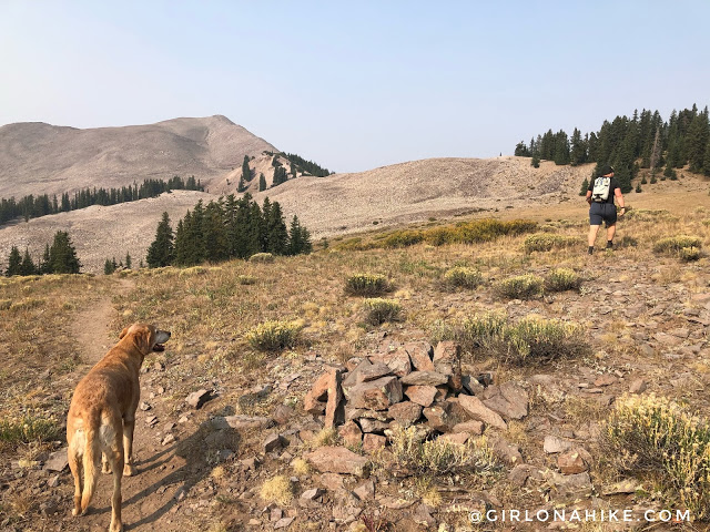 Hiking to Shelly Baldy Peak, Tushar Mountains