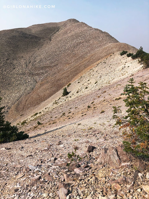 Hiking to Shelly Baldy Peak, Tushar Mountains