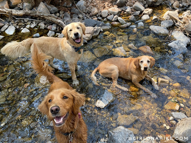 Hiking to Salt Creek Canyon Falls, Utah