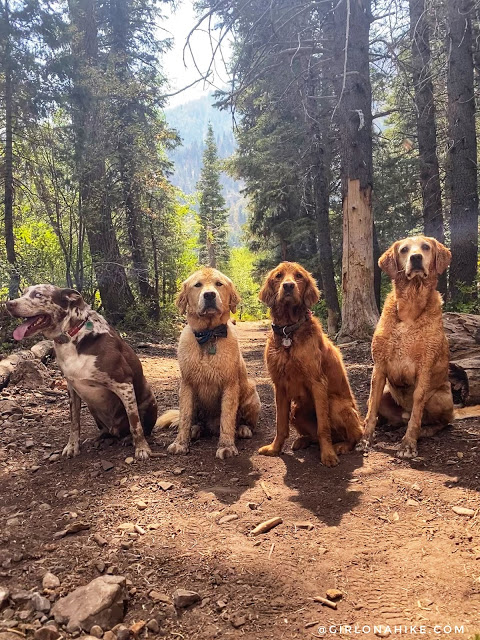 Hiking to Salt Creek Canyon Falls, Utah