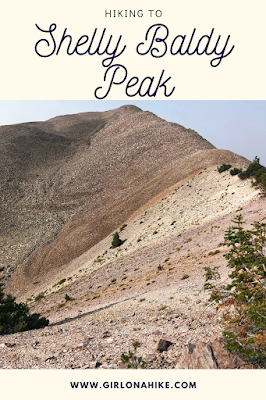 Hiking to Shelly Baldy Peak, Tushar Mountains