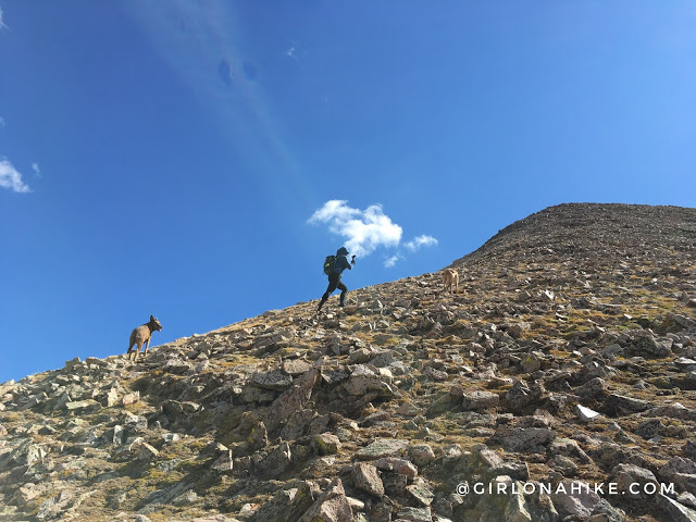 Hiking to Mt.Tomasaki, LaSal Mountains