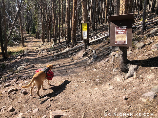 Backpacking to Hell Hole Lake & A-1 Peak, High Uintas