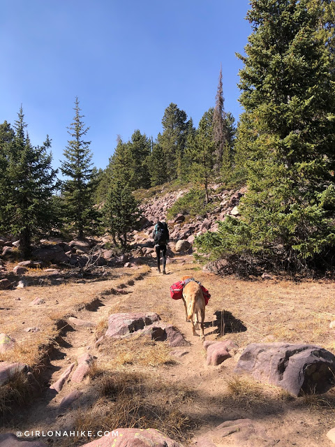 Backpacking to Hell Hole Lake & A-1 Peak, High Uintas