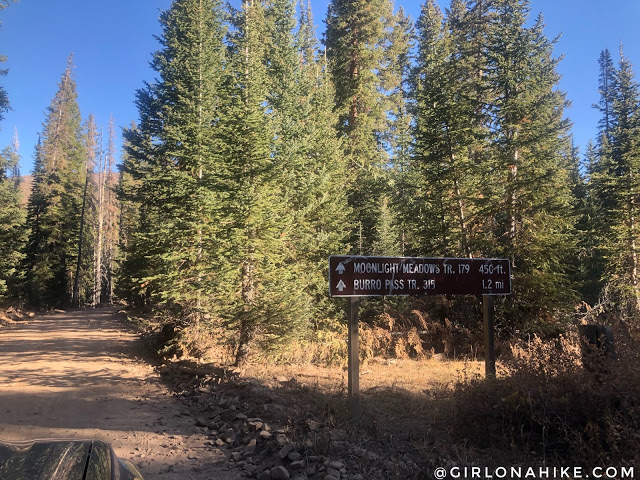 Hiking to Mt.Tomasaki, LaSal Mountains