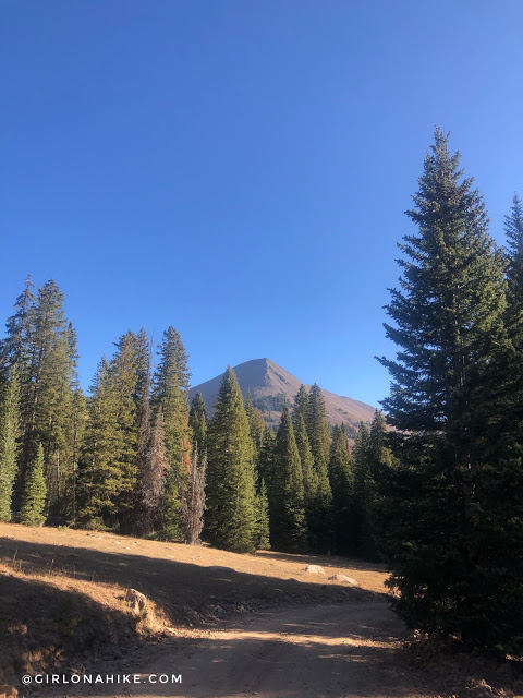 Hiking to Mt.Tomasaki, LaSal Mountains