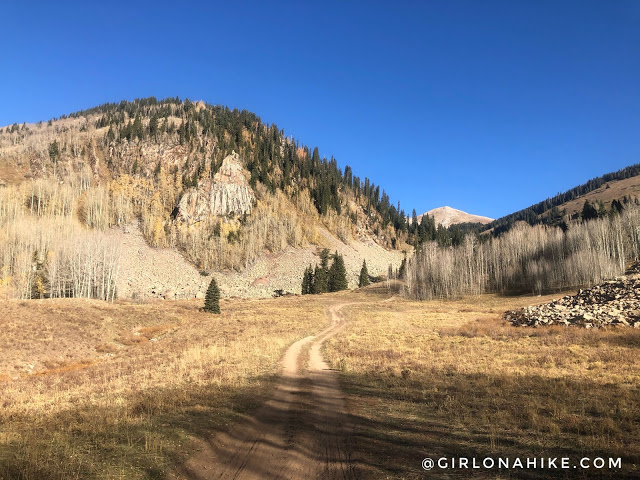 Hiking to Mt.Tomasaki, LaSal Mountains