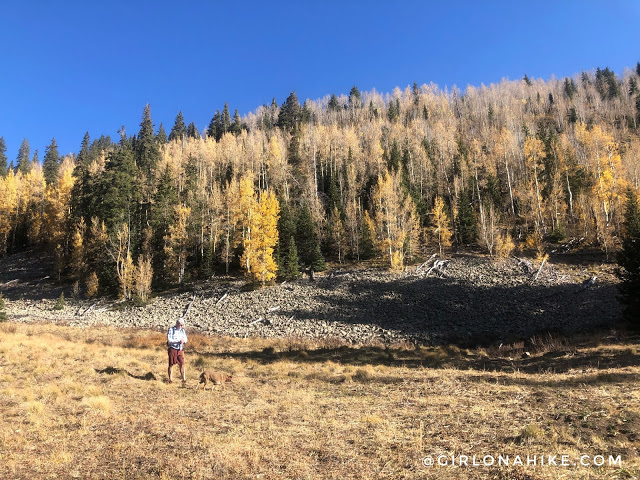 Hiking to Mt.Tomasaki, LaSal Mountains