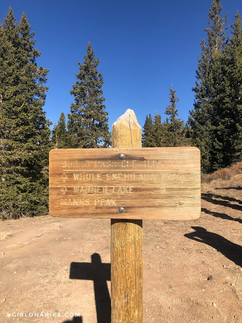 Hiking to Mt.Tomasaki, LaSal Mountains