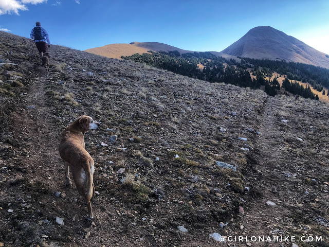 Hiking to Mt.Tomasaki, LaSal Mountains