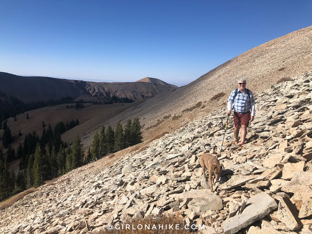 Hiking to Mt.Tomasaki, LaSal Mountains