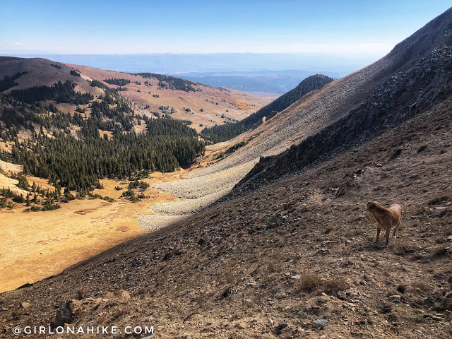 Hiking to Mt.Tomasaki, LaSal Mountains