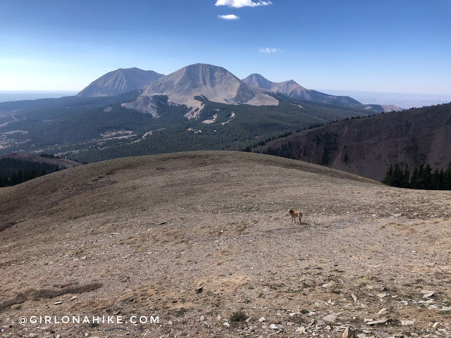 Hiking to Mt.Tomasaki, LaSal Mountains