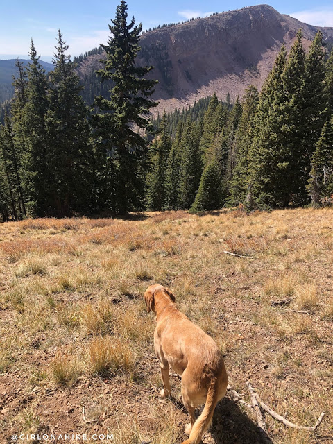 Hiking to Mt.Tomasaki, LaSal Mountains