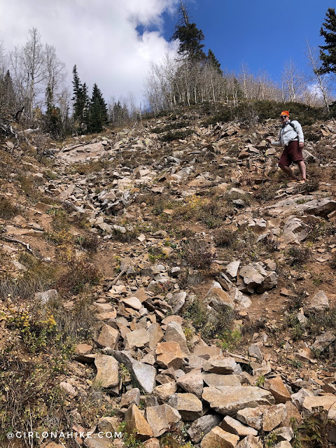 Hiking to Mt.Tomasaki, LaSal Mountains