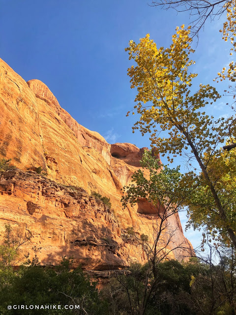 Hiking to the Portal Overlook, Moab