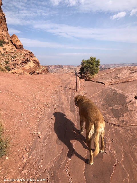 Hiking to the Portal Overlook, Moab