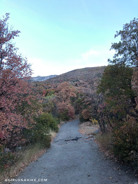 Hiking to Lake Hardy, Lone Peak Wilderness