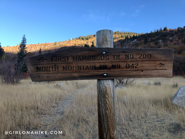 Hiking to Lake Hardy, Lone Peak Wilderness