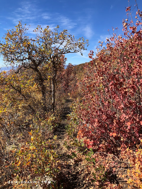 Hiking to Lake Hardy, Lone Peak Wilderness