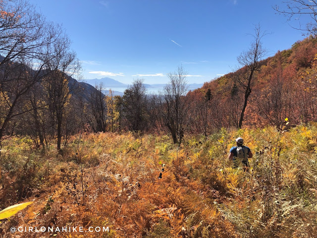 Hiking to Lake Hardy, Lone Peak Wilderness