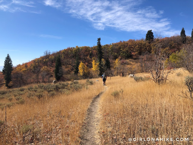 Hiking to Lake Hardy, Lone Peak Wilderness