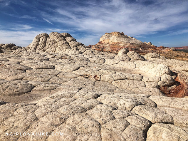 Exploring White Pocket, Vermillion Cliffs National Monument