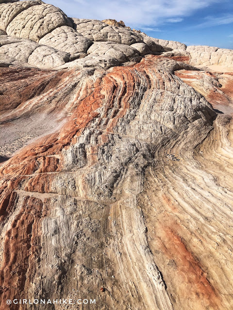 Exploring White Pocket, Vermillion Cliffs National Monument