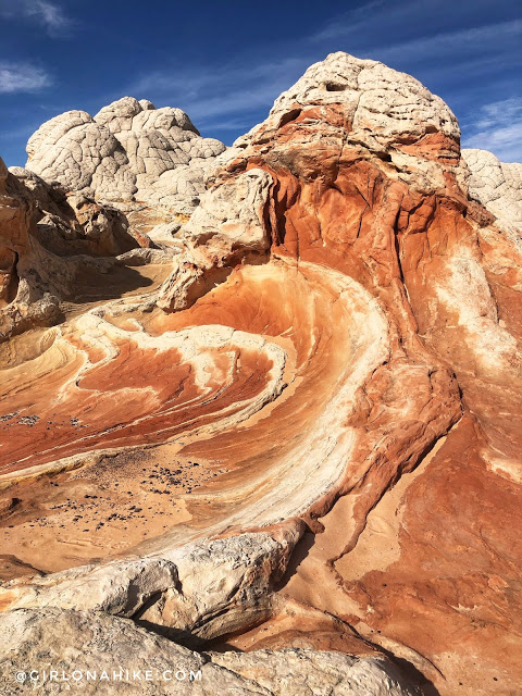 Exploring White Pocket, Vermillion Cliffs National Monument