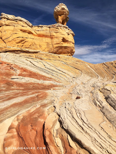 Exploring White Pocket, Vermillion Cliffs National Monument