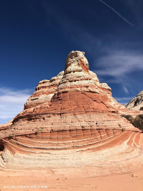 Exploring White Pocket, Vermillion Cliffs National Monument