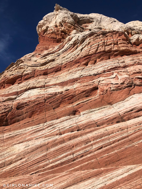 Exploring White Pocket, Vermillion Cliffs National Monument