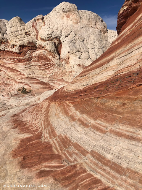 Exploring White Pocket, Vermillion Cliffs National Monument