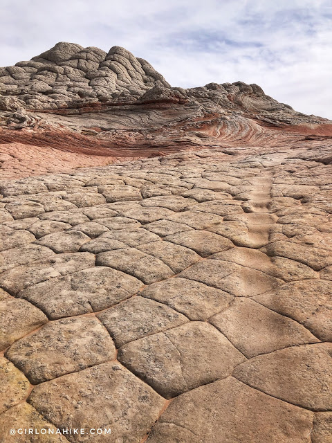 Exploring White Pocket, Vermillion Cliffs National Monument