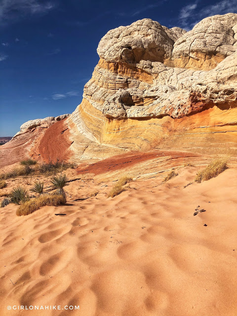 Exploring White Pocket, Vermillion Cliffs National Monument