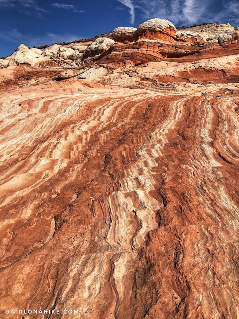 Exploring White Pocket, Vermillion Cliffs National Monument