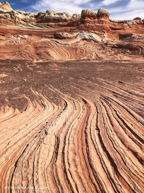 Exploring White Pocket, Vermillion Cliffs National Monument