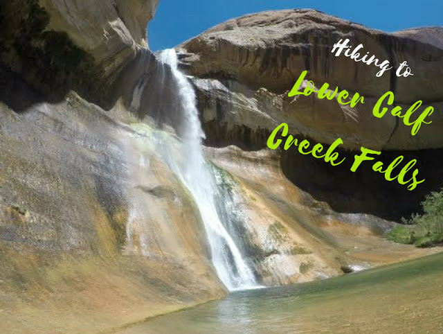 The Ultimate Guide - Dog Friendly Hikes in Escalante, Utah! Hike to Lower Calf Creek Falls