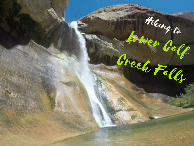 Grand staircase escalante dog friendly hikes best sale