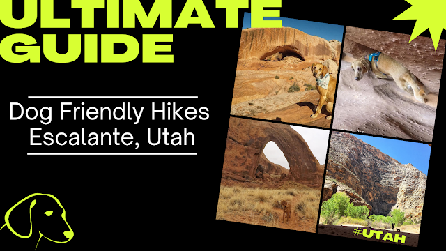 The Ultimate Guide - Dog Friendly Hikes in Escalante, Utah!