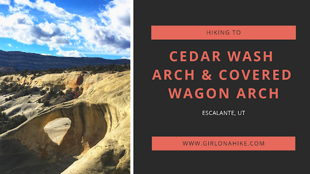 The Ultimate Guide - Dog Friendly Hikes in Escalante, Utah! Hike to Cedar Mesa Arch and Covered Wagon Arch