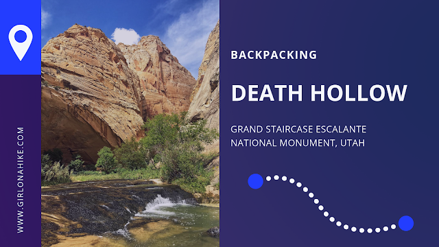 The Ultimate Guide - Dog Friendly Hikes in Escalante, Utah! Hike Death Hollow