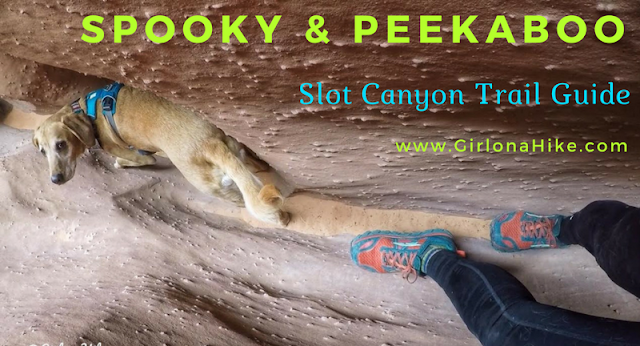 The Ultimate Guide - Dog Friendly Hikes in Escalante, Utah! Hike to Spooky and Peekaboo Slot Canyonwith a dog
